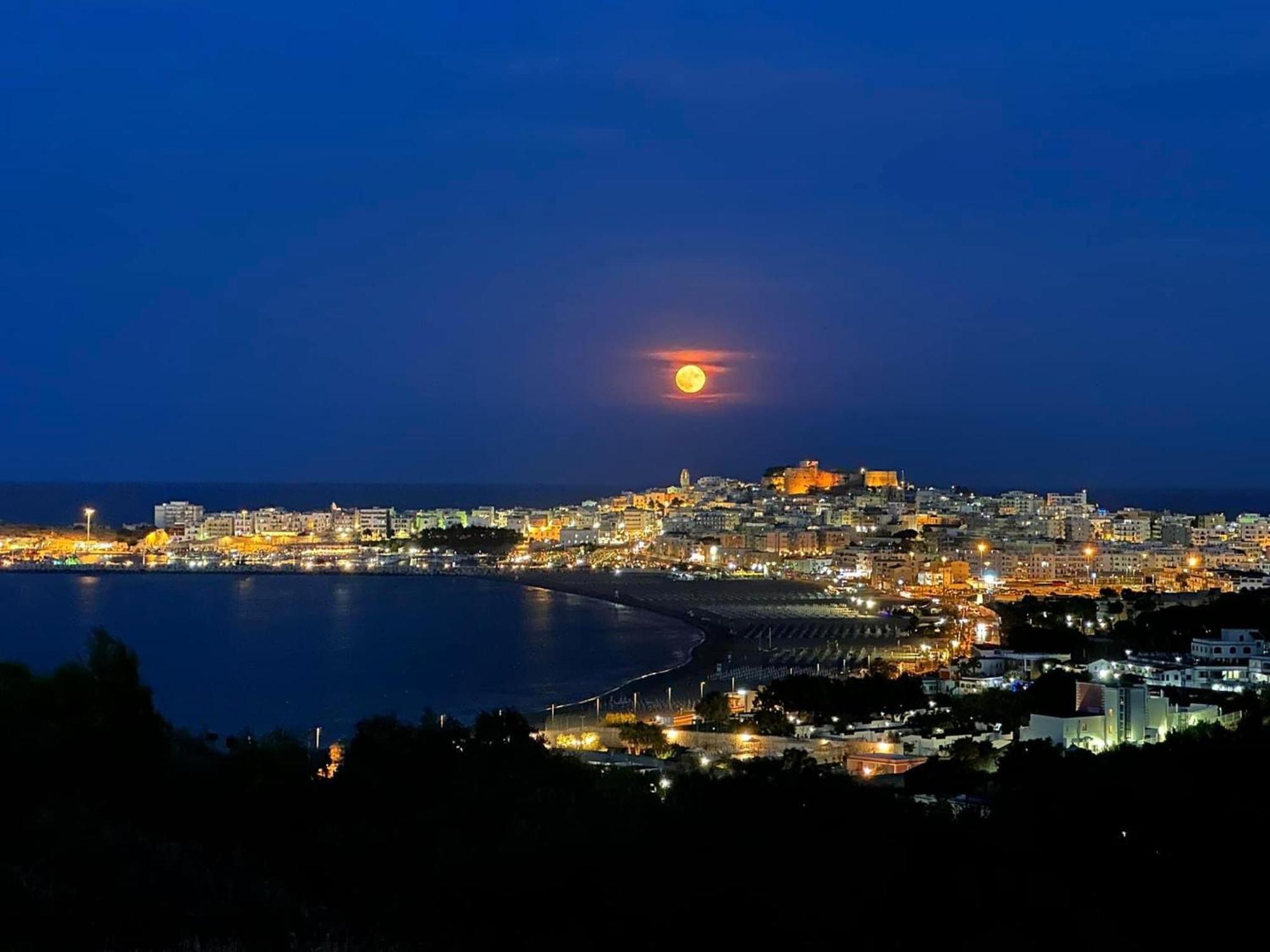 Vieste Suite Εξωτερικό φωτογραφία