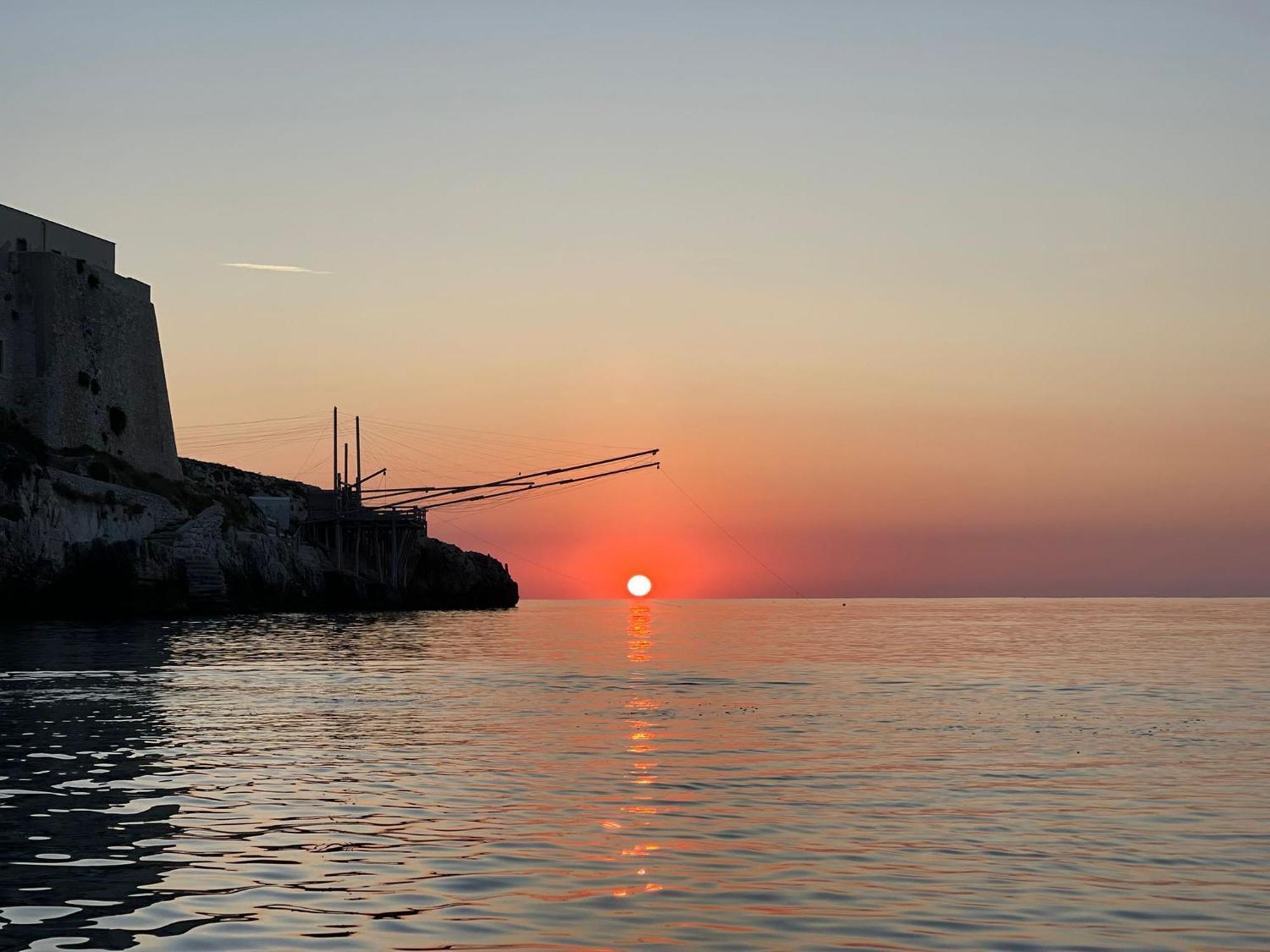 Vieste Suite Εξωτερικό φωτογραφία